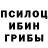 Псилоцибиновые грибы GOLDEN TEACHER joker Flow